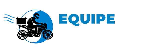 Envios Flex Logo